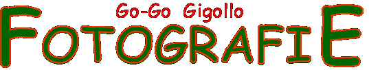 Fotky - Go-Go Gigollo