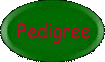 Pedigree - litter CH